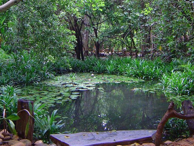 Momchailai Forest Retreat Καντσαναμπούρι Εξωτερικό φωτογραφία